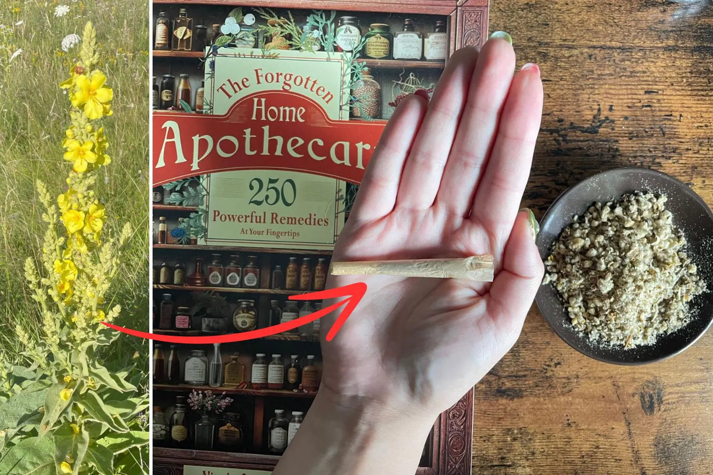 Forgotten Home Apothecary : 250 Powerful Remedies at Your Fingertips (E)